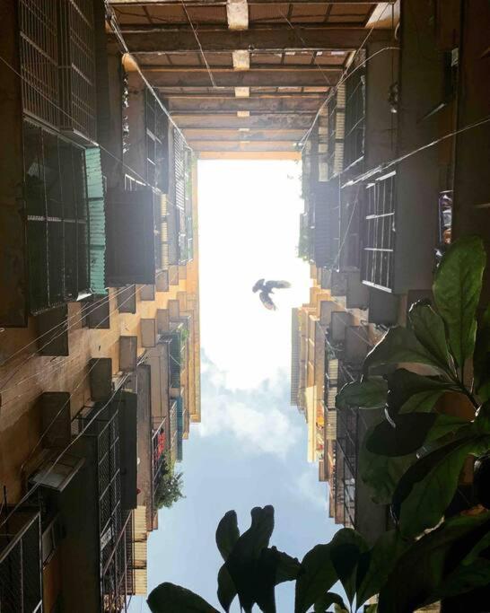 Saigonese Lifestyle - Near Ben Thanh Market ホーチミン市 エクステリア 写真